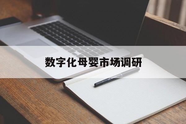 恩施市数字化母婴市场调研(数字化母婴市场调研报告)