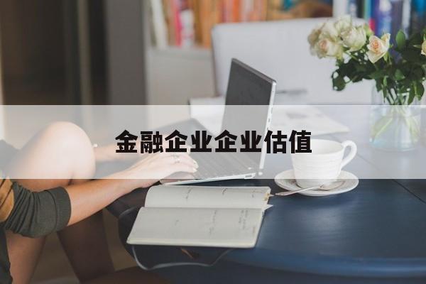 恩施市金融企业企业估值(最新企业估值怎么填)